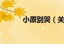 小原别哭（关于小原别哭介绍）