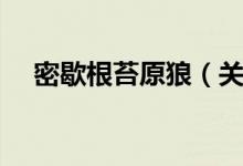 密歇根苔原狼（关于密歇根苔原狼介绍）