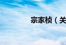 宗家桢（关于宗家桢介绍）