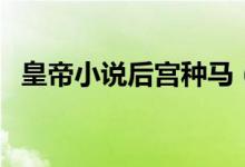 皇帝小说后宫种马（邪恶后宫种马类小说）