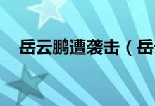 岳云鹏遭袭击(岳云鹏 我好像被冒犯了)