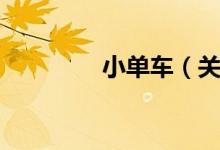 小单车（关于小单车介绍）