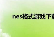 nes格式游戏下载网（nes格式游戏）