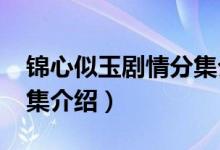 锦心似玉剧情分集介绍（大宅门1912剧情分集介绍）