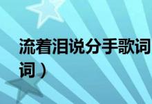 流着泪说分手歌词 金志文（流着泪说分手歌词）