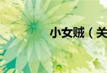 小女贼（关于小女贼介绍）