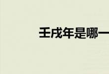 壬戌年是哪一年（壬戌的拼音）