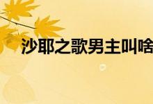 沙耶之歌男主叫啥（沙耶之歌女主真身）