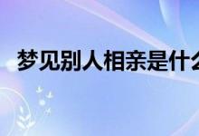 梦见别人相亲是什么征兆(梦见相亲失败)