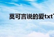 莫可言说的爱txt下载（莫可言说的爱）
