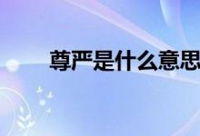 尊严是什么意思(自尊是什么意思)