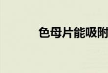 色母片能吸附真果汁(色母片)