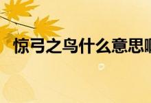 惊弓之鸟什么意思啊（惊弓之鸟什么意思）