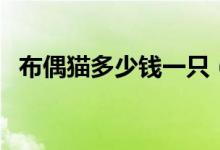 布偶猫多少钱一只(加纳利犬多少钱一只)