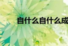 自什么自什么成语（自什么自什么）