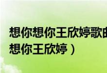 想你想你王欣婷歌曲是不是盗的哪个歌（想你想你王欣婷）