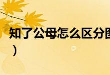 知了公母怎么区分图片（贝子鸟公母区分图片）
