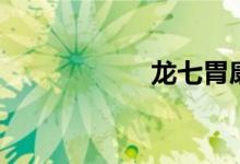 龙七胃康片(龙七)