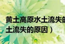 黄土高原水土流失的原因是什么（黄土高原水土流失的原因）