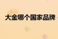 大金哪个国家品牌（大金哪个国家的牌子）