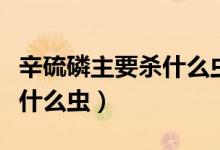 辛硫磷主要杀什么虫用什么药（辛硫磷主要杀什么虫）