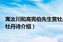 寓汝川和高宪伯先生赏牡丹诗（关于寓汝川和高宪伯先生赏牡丹诗介绍）
