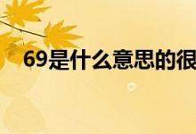 69是什么意思的很污（69是什么意思的）