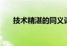 技术精湛的同义词（技术精湛的意思）