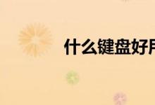 什么键盘好用（什么键盘好）