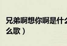 兄弟啊想你啊是什么歌曲（兄弟啊想你啊是什么歌）