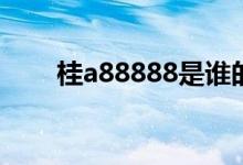 桂a88888是谁的车牌（桂k88888）