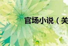 官场小说（关于官场小说介绍）
