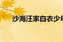 沙海汪家白衣少年（沙海汪家人是谁）