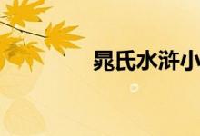 晁氏水浒小说(晁氏水浒)
