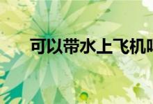 可以带水上飞机吗（水上飞机的种类）