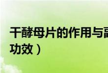 干酵母片的作用与副作用（干酵母片的作用与功效）