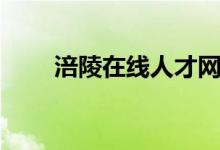 涪陵在线人才网（涪陵人才市场网）
