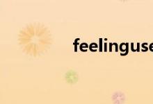 feelingused（feelingu）