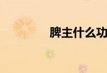 脾主什么功能（脾主什么）
