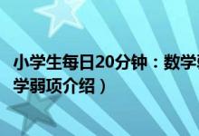 小学生每日20分钟：数学弱项（关于小学生每日20分钟：数学弱项介绍）
