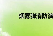 烟雾弹消防演练（演习烟雾弹）