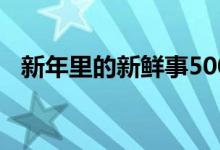 新年里的新鲜事500字（新年里的新鲜事）