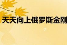 天天向上俄罗斯金刚芭比（天天向上俄罗斯）
