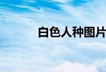 白色人种图片大全（白色人种）