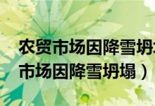 农贸市场因降雪坍塌2OO7年9号攵件（农贸市场因降雪坍塌）