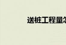 送桩工程量怎么计算（送桩）