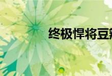 终极悍将豆瓣（终极悍将1）