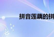 拼音莲藕的拼音（莲藕的拼音）