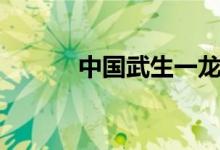 中国武生一龙战绩（一龙战绩）