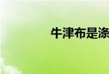 牛津布是涤纶吗（牛津布）